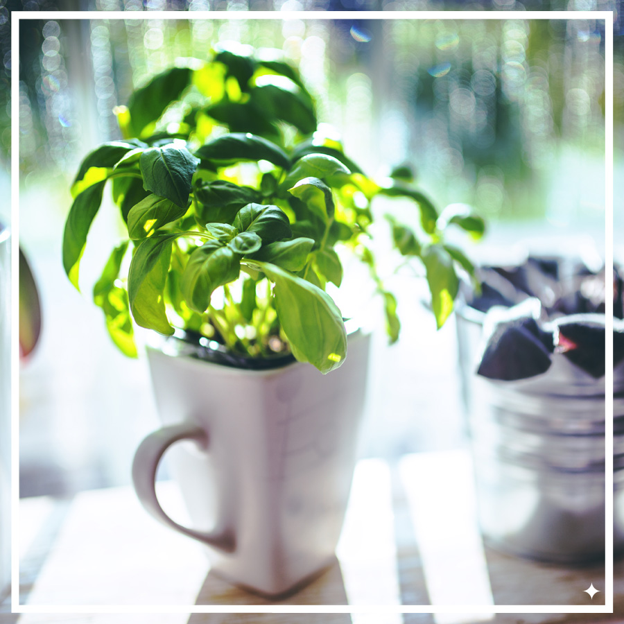 Jak urządzić wspólne mieszkanie?