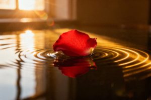 Co to są emocje i uczucia? Różnice oraz ich wpływ na zdrowie psychiczne