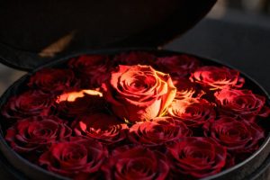 Róże na Dzień Mamy — jak wybrać idealny prezent dla mamy?